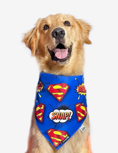 Pañoleta para mascotas Superman