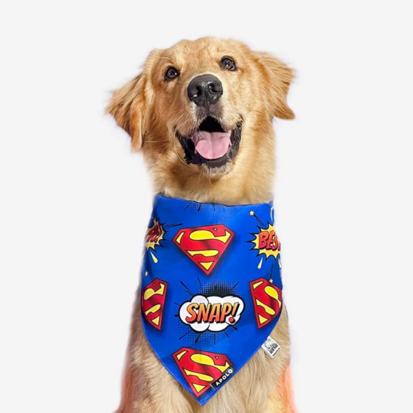 Pañoleta para mascotas Superman