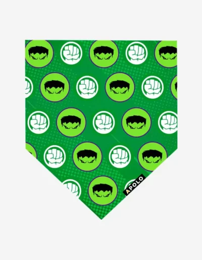 Pañoleta para mascotas Hulk