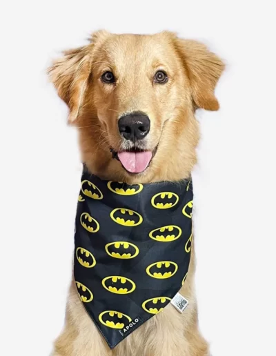 Pañoleta para mascotas Batman Black