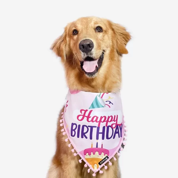 Pañoleta para mascotas Happy Birthday Hembra