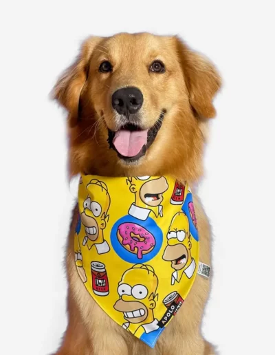 Pañoleta para mascotas Homero Simpson
