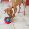 Kong perro Gyro small