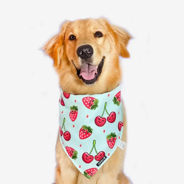 Pañoleta para mascotas Frutos Rojos