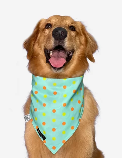 Pañoleta para mascotas Scooby Doo