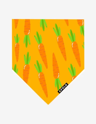 Pañoleta para mascotas Zanahorias